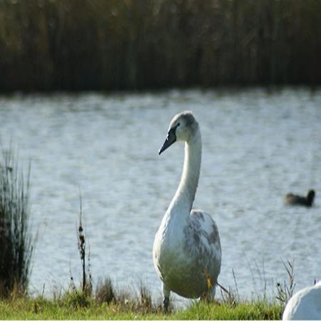 Auplands En-Suite Rooms Lymington Εξωτερικό φωτογραφία