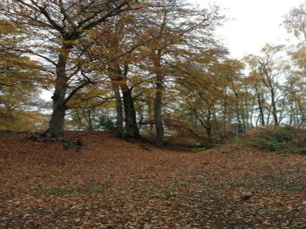 Auplands En-Suite Rooms Lymington Εξωτερικό φωτογραφία