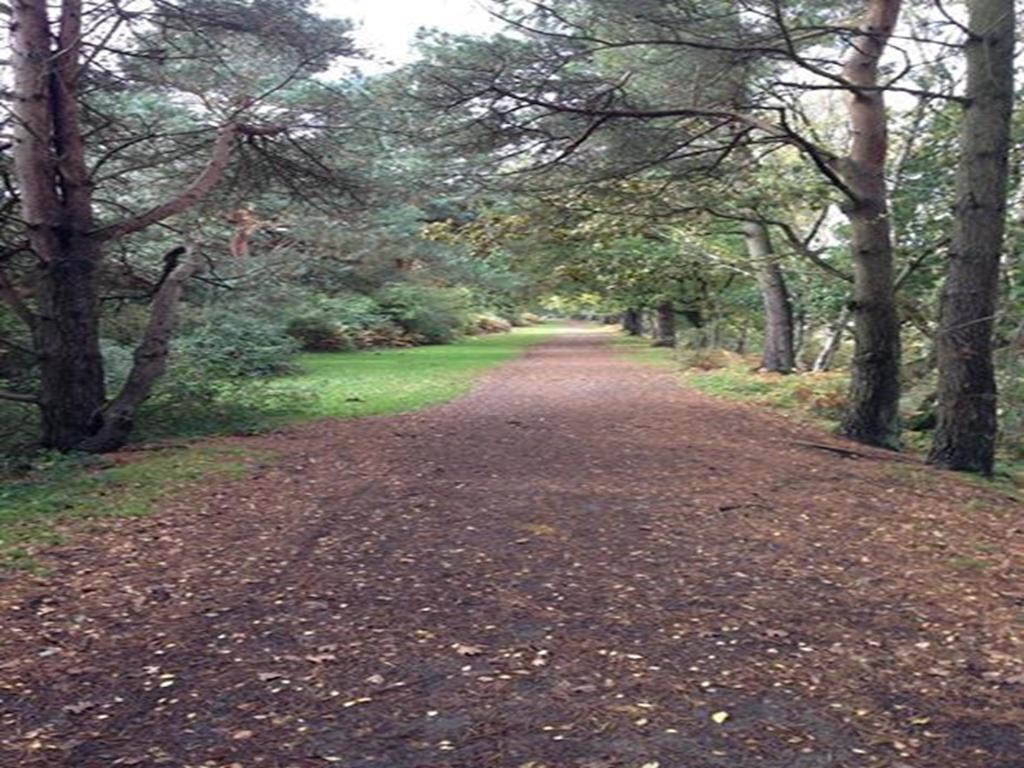 Auplands En-Suite Rooms Lymington Εξωτερικό φωτογραφία